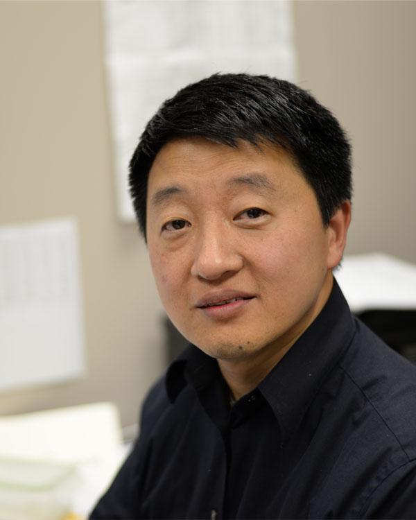 Dr. Lixin Yu, Professor